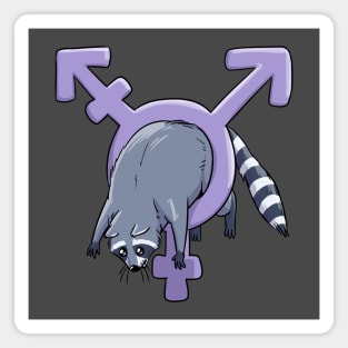 Trans Raccoon Magnet